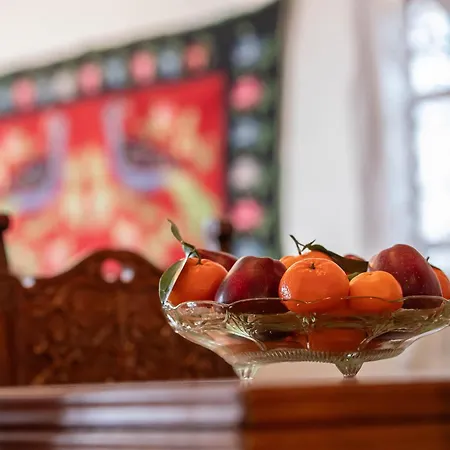 Casa de Férias Alonia Forest House